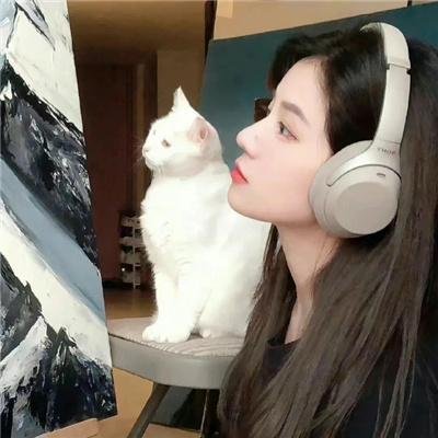 今冬不言情